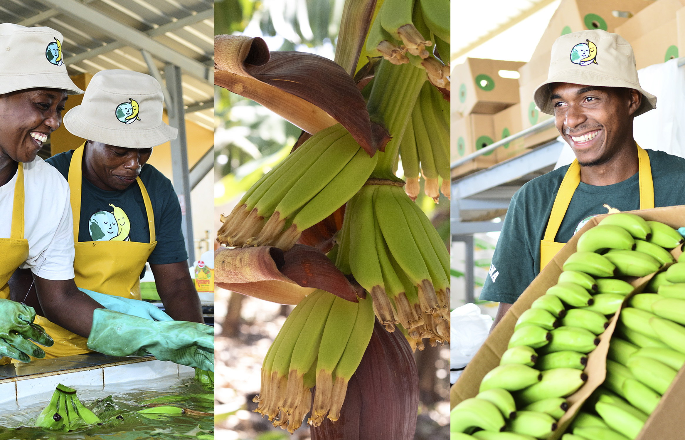 Better for the planet